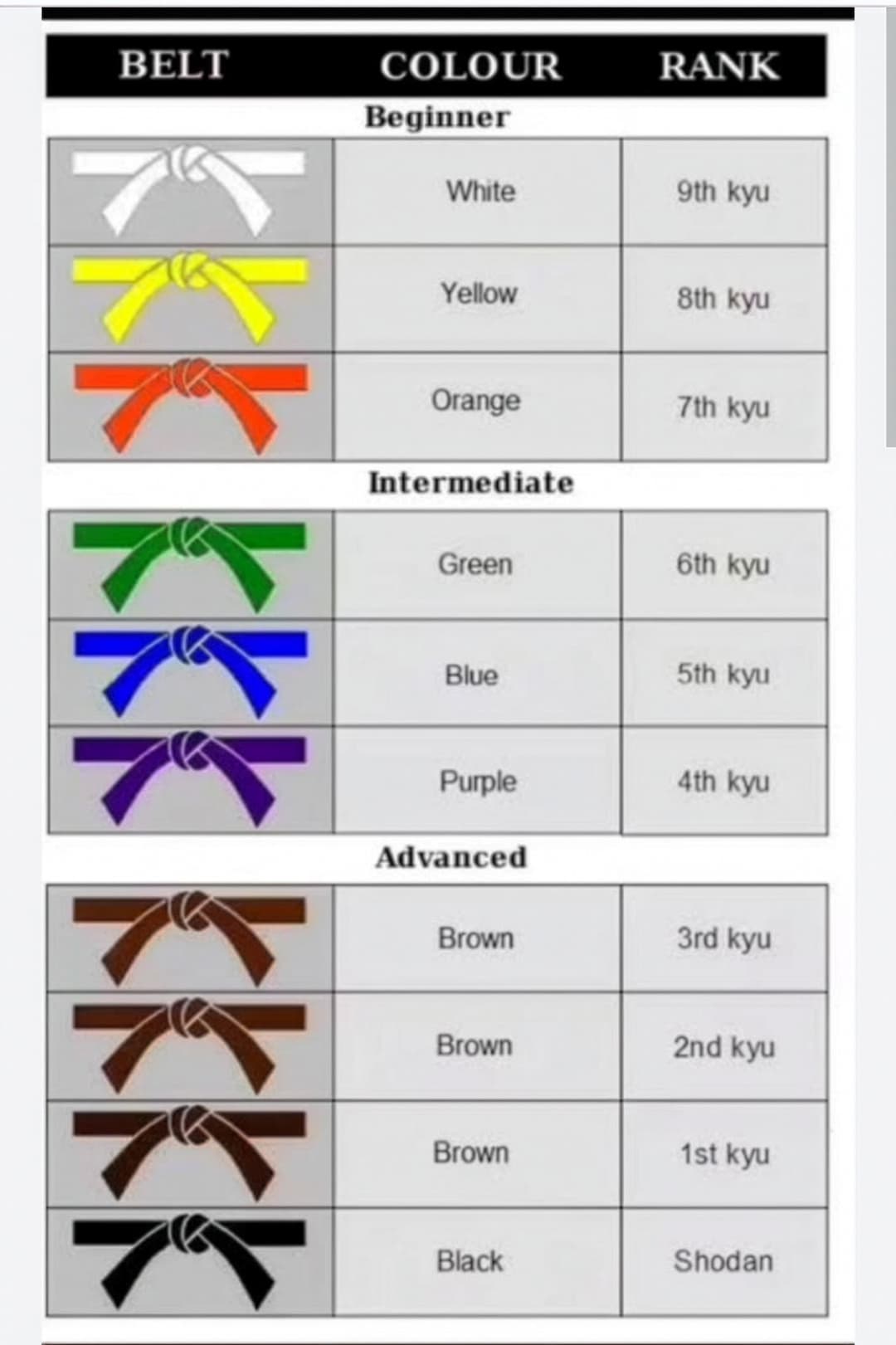 Karate Belt Ranking System: The Journey from White to Black Belt